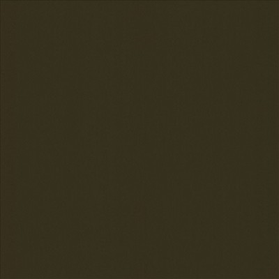 Kasmir ALTA VISTA       COCO            